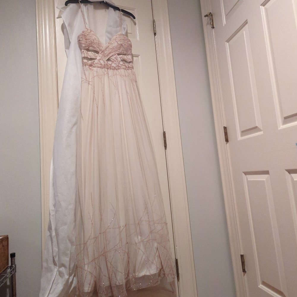 Long Rose sparkle and chiffon dress